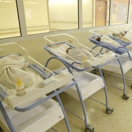 As crianças nasceram prematuras, nove semanas antes do previsto  - Reprodução/Al Rams Net