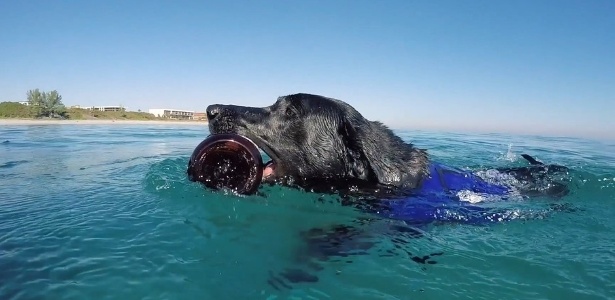 Lila, de 7 anos, ajuda a recolher plásticos dos oceanos - Reprodução/Facebook/4Ocean