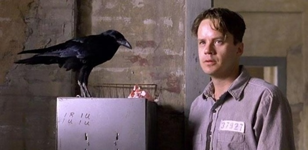 Tim Robbins "conversa" com um corvo em "Um Sonho de Liberdade" (1994) - Reprodução