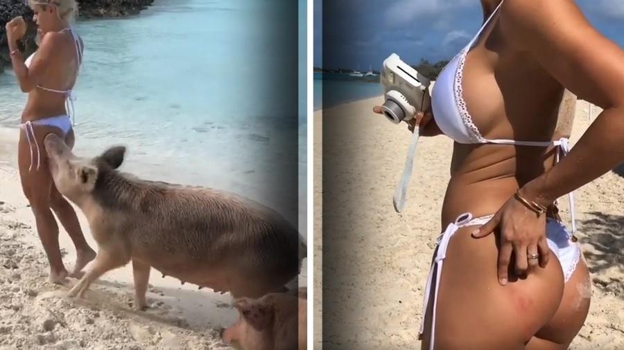 Modelo é mordida por porco durante passeio em Exuma, nas Bahamas - Reprodução/Instagram 