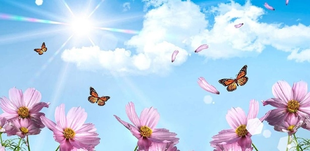 16 Curiosidades Multicoloridas Sobre As Borboletas Listas Bol As borboletas, panapanás ou panapanãs, são insetos da ordem lepidoptera classificados nas super famílias hesperioidea e papilionoidea, que constituem o grupo informal rhopalocera. 16 curiosidades multicoloridas sobre as