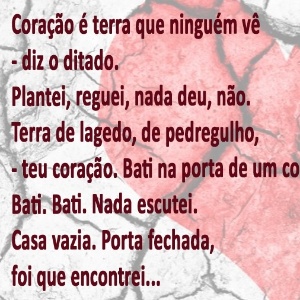 30 Frases Ou Trechos De Poemas De Cora Coralina Que Faria