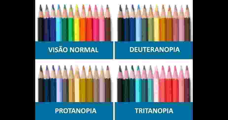 Veja Como Diferentes Tipos De Daltonismo Mudam A Percepção Das Cores Notícias Bol