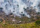 Retrocesso ambiental deve fazer Brasil passar vergonha em cúpula na Europa (Foto: Reprodução/El Confidencial)