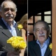 8.mar.2014 - Na imagem à direita, uma cesta com flores é entregue na residência de Gabriel García Márquez, na Cidade do México. O escritor, como mostram as outras imagens, é apaixonado por flores amarelas, pois considera que elas trazem sorte - segundo relatos de pesquisadores do colombiano - OMAR TORRES/AFP, YURI CORTEZ/AFP, YURI CORTEZ/AFP