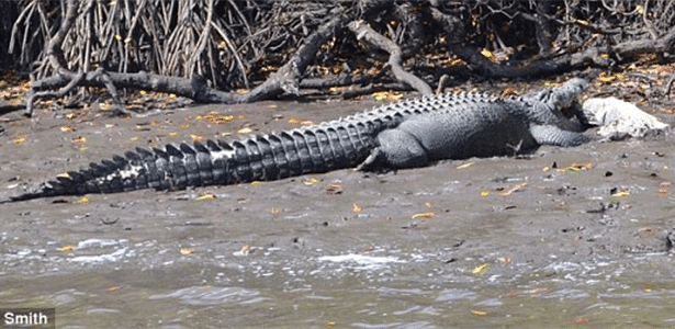 Shaman Eaten By Crocodile