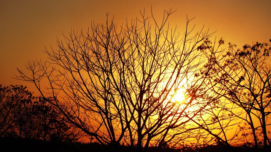 Pôr do Sol em Limeira (SP) em foto de Odilon Antonio Menegusso