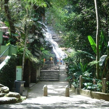 Parque da Tijuca, área de conservação nacional que engloba a Floresta da Tijuca, é a maior floresta urbana do mundo