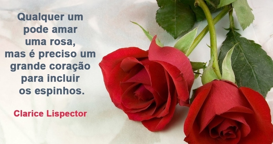 7-qualquer-um-pode-amar-uma-rosa-mas-e-p