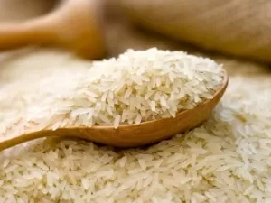 Mendonça mantém leilão, mas dá 5 dias para governo explicar compra de arroz
