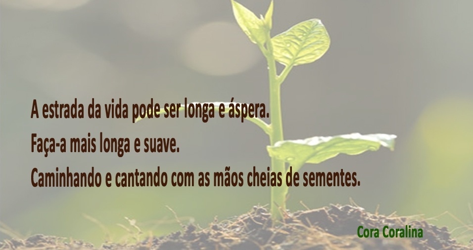 Letra Da Musica Pela Longa Estrada Da Vida