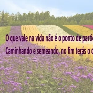 Poema de aniversário!!!!! – Decasapramoda Blog