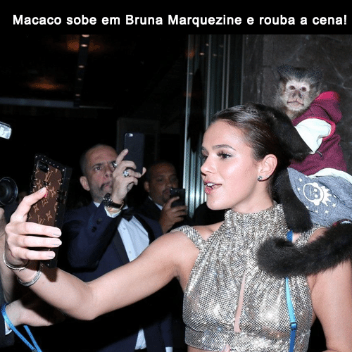 28.abr.2017 - Bruna Marquezine teve um companheirinho inusitado durante baile beneficente da amfAR e derreteu o coração dos internautas