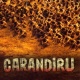 Adaptado do livro "Estação Carandiru", de Dráuzio Varella, o filme "Carandiru", do diretor Hector Babenco, foi lançado em abril de 2003, e trazia um elenco de peso, com Luiz Carlos Vasconcelos (interpretando Drauzio Varella), Wagner Moura, Caio Blat, Milton Gonçalves e Rodrigo Santoro - Reprodução