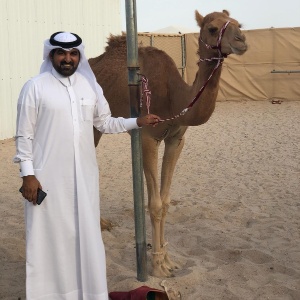 Camelo Al-Jazeera ao lado do dono, Hamad Bin Jarhab - Arquivo Pessoal - Arquivo Pessoal
