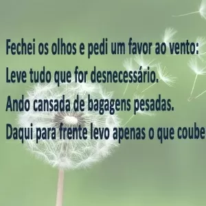 Poema de aniversário!!!!! – Decasapramoda Blog