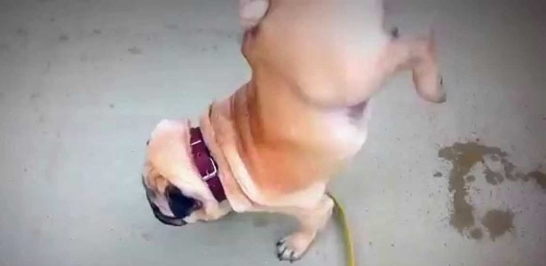 Reprodução/YouTube Reprodução/YouTube
