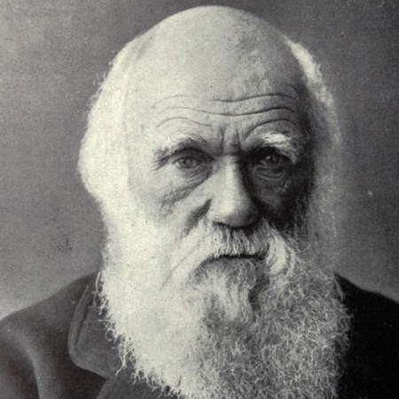 Charles Darwin: homens são sempre melhores que mulheres em qualquer atividade - Reprodução/The Sun