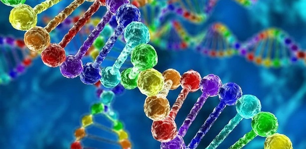 Imagem de DNA embrionário - Reprodução/hindustantimes