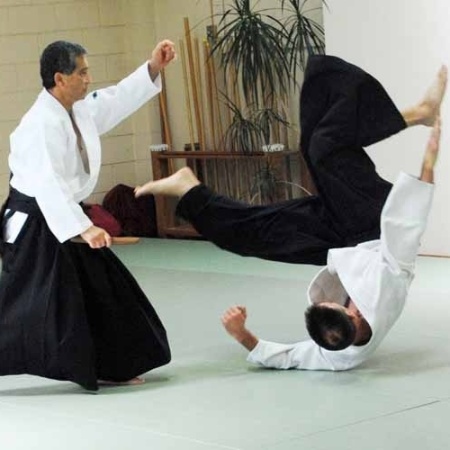 Prática de aikido, arte marcial japonesa - Reprodução/Pacific Aikido Federation