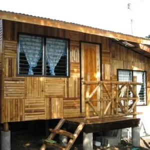 40 ideias de casas de bambu para inspirar sua construção ecológica - Listas  - BOL