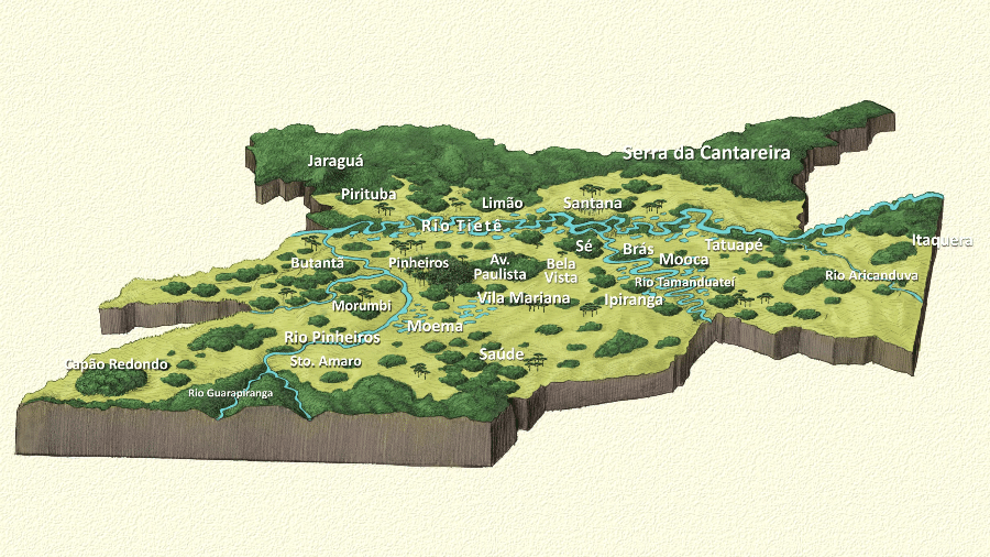 Leandro Lopes de Souza