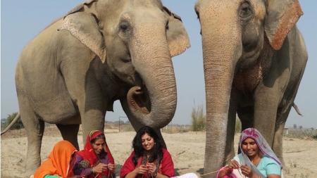 Reprodução/The Greenest Post 