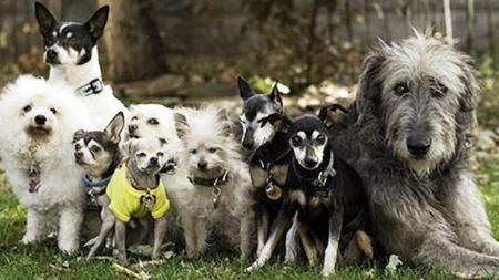 Reprodução/The Greenest Post