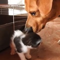 Reprodução/YouTube