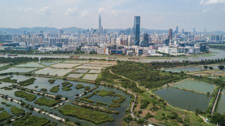 Billy H.C. Kwok para o New York Times