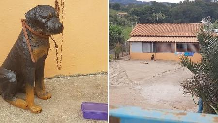 Reprodução Reprodução