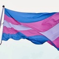 Bandeira trans (Foto: Reprodução)