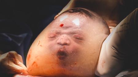 Janaina Brasil Fotografia