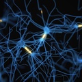 iStock