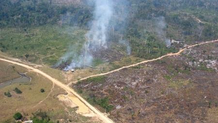 Reprodução/The Greenest Post 