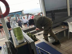 Reprodução/Facebook/Native & Feral Pest Management