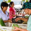 Reprodução/The Greenest Post