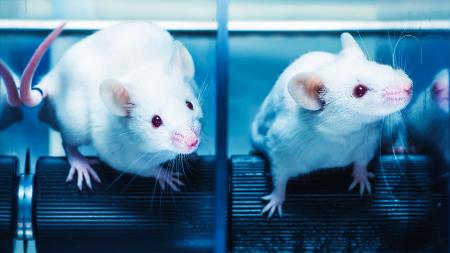 Getty Images/iStockphoto