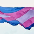 Bandeira trans (Foto: Reprodução)