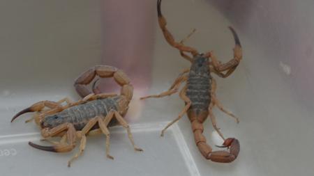 Rivaldo Gomes/Folhapress