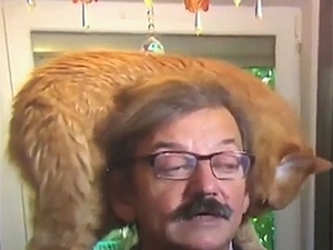 David Ramos/Getty Images