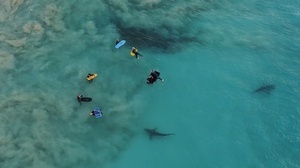 Reprodução/Sean Scott