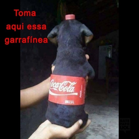 4.jan.2017 - O cachorrinho fantasiado de garrafa de Coca-Cola encantou os curtidores do Bate-papo UOL no Facebook. A imagem teve mais de 200 reações.