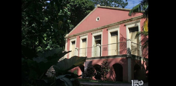 Reprodução/Museu Paraense Emílio Goeldi Reprodução/Museu Paraense Emílio Goeldi