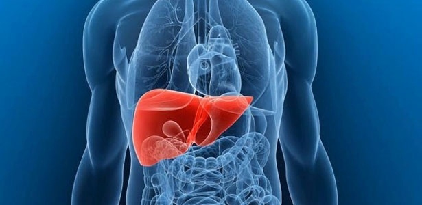 A hepatite ataca o fígado e pode ser fatal - Reprodução/DanceSafe
