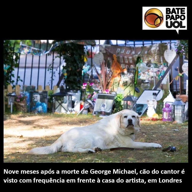 7.set.2017 - Todo mundo que tem um bichinho em casa (e até quem não tem) se comoveu com a fidelidade e amizade da cadelinha do cantor George Michael.