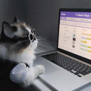 Reprodução/Instagram/Albert Baby Cat Reprodução/Instagram/Albert Baby Cat