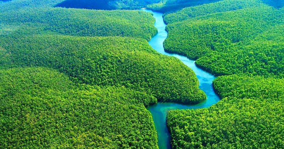 Resultado de imagem para Amazônia