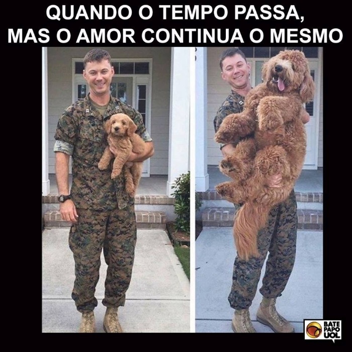 23.abr.2017 - Mais de 620 fãs do Bate-papo UOL no Facebook interagiram com a imagem do antes e depois de um soldado e seu cão. 'Que coisa mais linda!', comentou a internauta Clauciene.