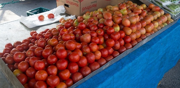 Tomate na feira - Ronaldo Marques/BOL - Ronaldo Marques/BOL
